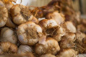 Bunches of garlic