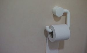 Toilet paper roll