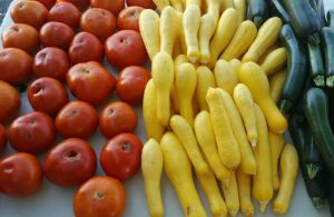 Squash, Zucchini, and Tomatoes at FoodiO Famers' Market