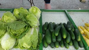 Cabbage and Cukes from Hill Crest Farm