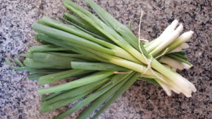 Bunches of Green Onions from FoodiO Farm