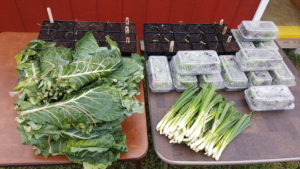 Produce at FoodiO Farmers' Market