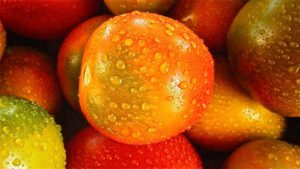 Multicolored Grape Tomatoes