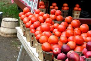 Tomatoes at a Farmers Market